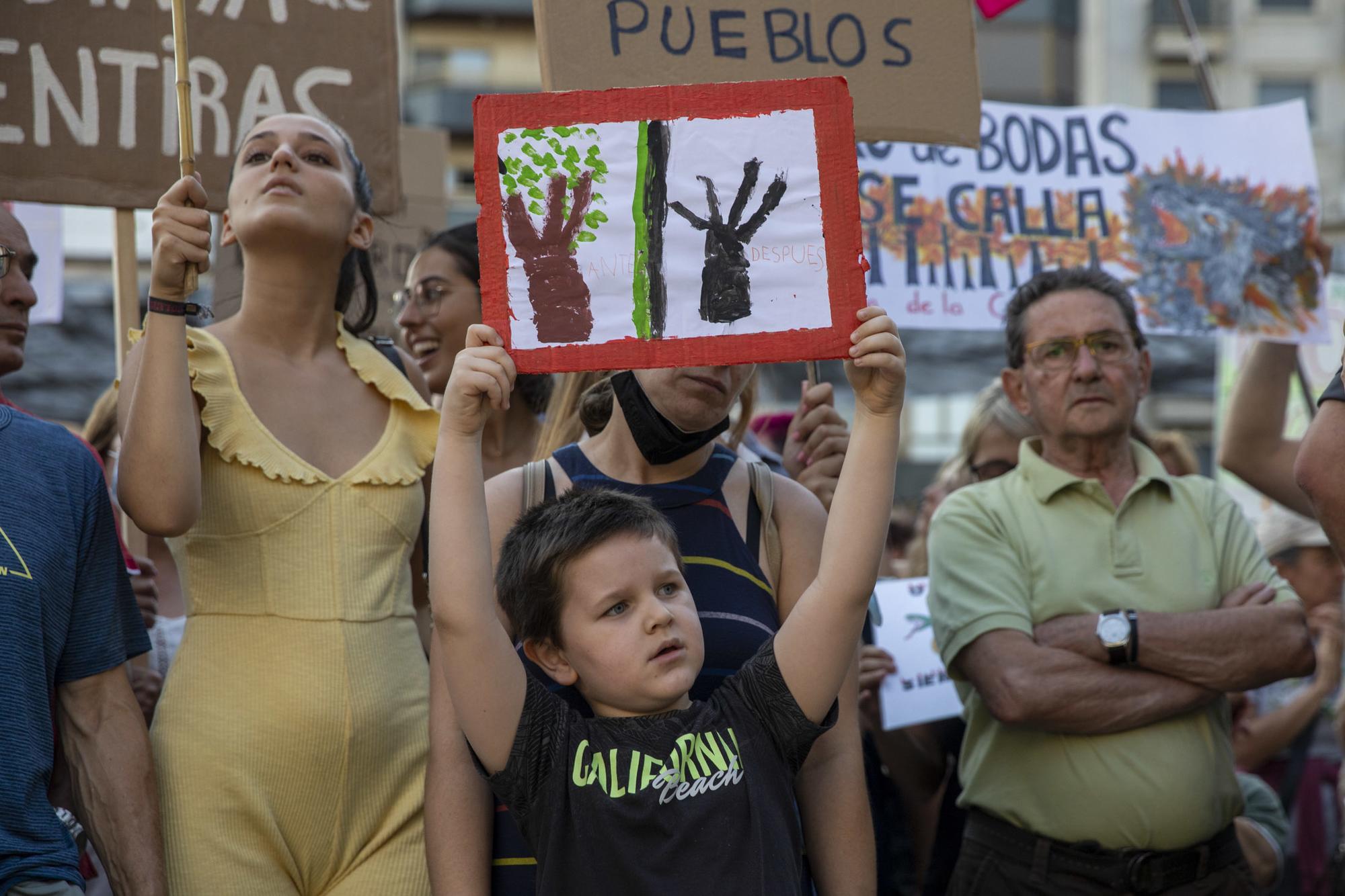 Manifestación Zamora Incendios forestales 28-07-2022 - 16